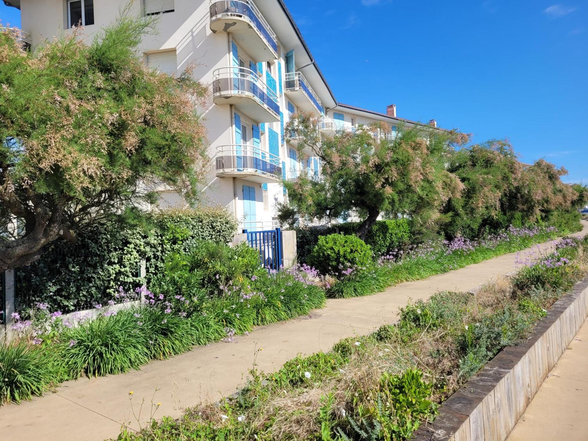 Sable - Appartement Renove Pour 4 Personnes Soorts-Hossegor Buitenkant foto